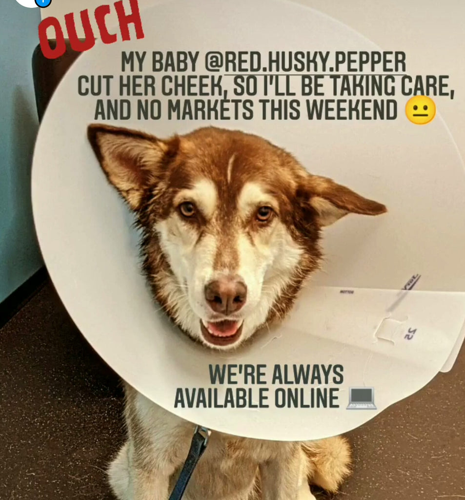 No markets this weekend 😐